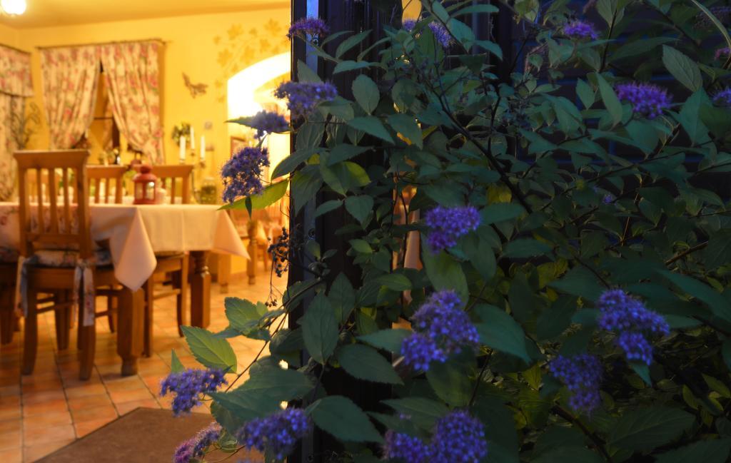 Hotel Magnes شكلارسكا بوريبا المظهر الخارجي الصورة